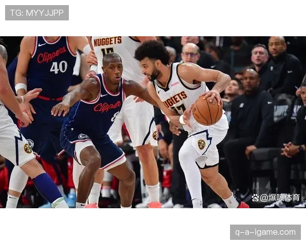 穆雷携手掘金队再创辉煌，灵魂组合引领球队迈向新巅峰