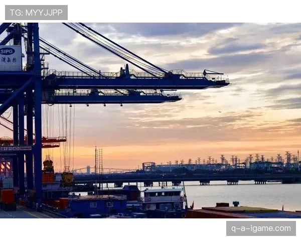 上海海港投资方发布新投资计划，推动城市可持续发展与生态建设