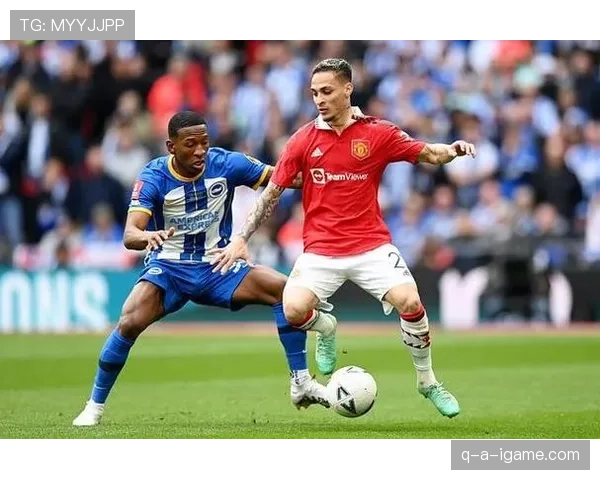 B费欧战关键战终结效率与战术角色解析 B费欧战关键战终结效率与战术角色解析