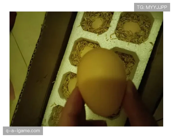 辛德hu一天吃20个鸡蛋？这自律也太狠了